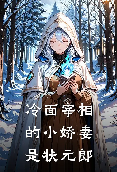 冷面宰相的小娇妻是状元郎